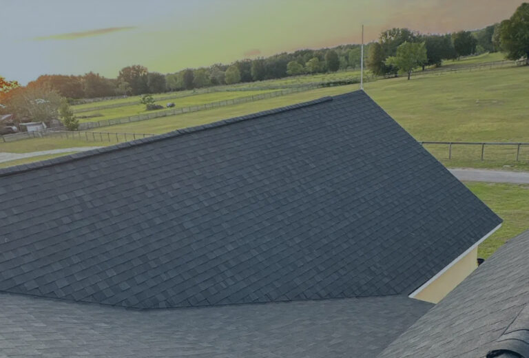 Central Florida s Top Roofing Services for Home Business 768x520