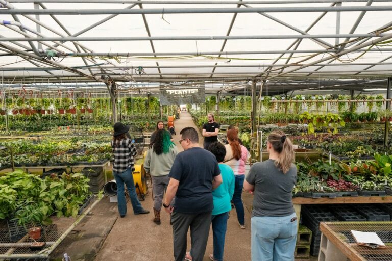 451096147 873609374803045 8522886944621629485 n.jpn  768x512