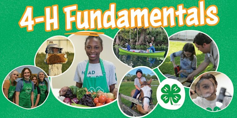 https   cdn.evbuc .com images 561659479 133704377671 1 original 768x384