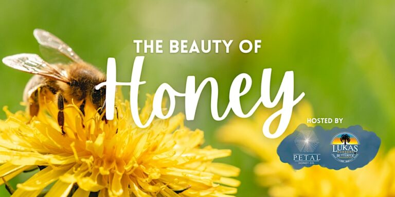 https   cdn.evbuc .com images 812886309 1219497984873 1 original 768x384