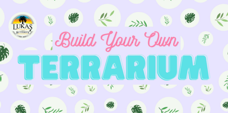 Screenshot 352 768x381