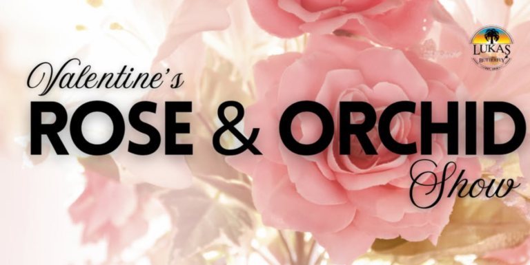 Screenshot 365 768x385