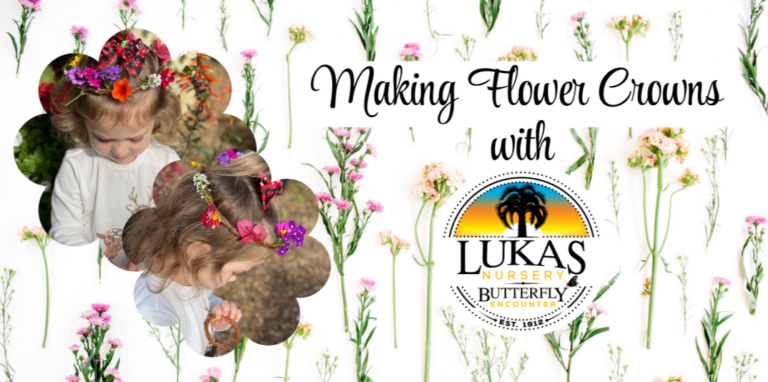 Screenshot 409 768x382