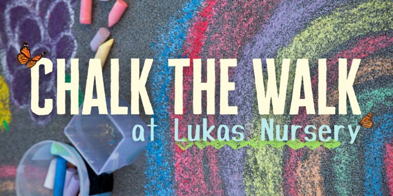 504021550 1144978860996870 7058539072025775649 n 768x384