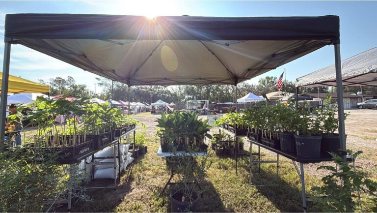 504374591 122122017140836914 5755272311565349242 n 768x433