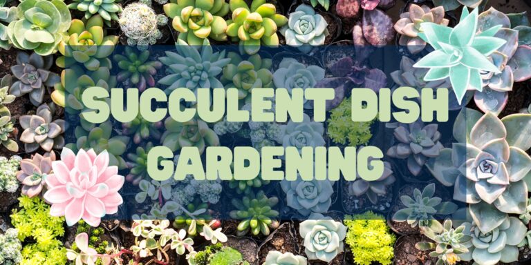 518152113 1181423540685735 9012231979204255989 n 768x384