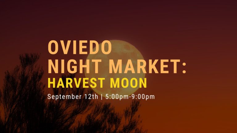 536140249 1054615343500432 2929293954865830349 n 768x432