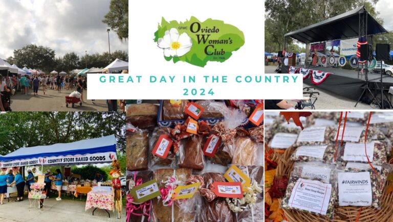 536276661 1089392233318278 4098653682347085416 n 768x433