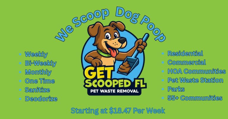 631181526 122114262981175630 2021607330350312431 n 768x402