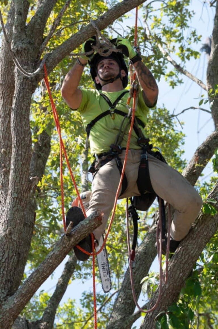 FB IMG 1773616580924 1 768x1155