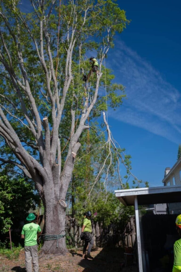 FB IMG 1773616584689 768x1155