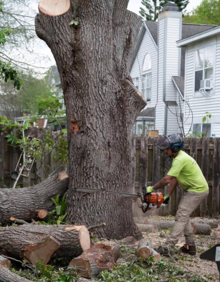 FB IMG 1773616591391 768x985