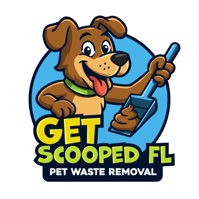 Outlook zwaeeckx 2 768x768