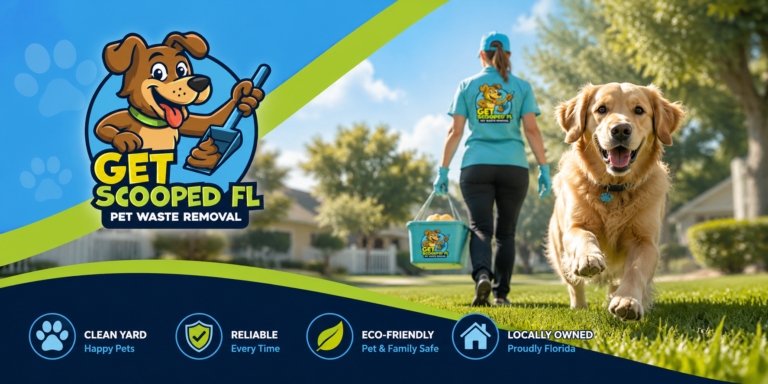 Get Scooped 768x384