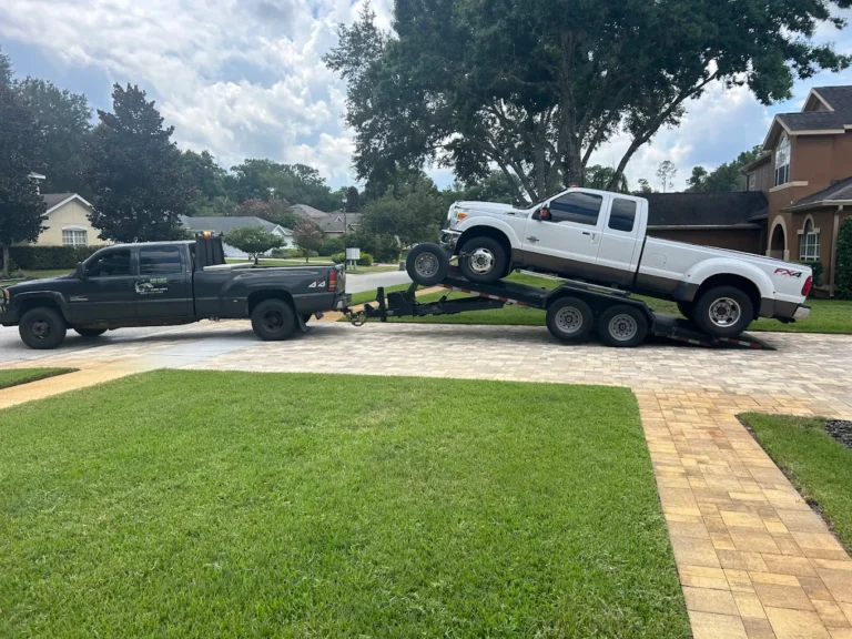 Dually Nick 768x576