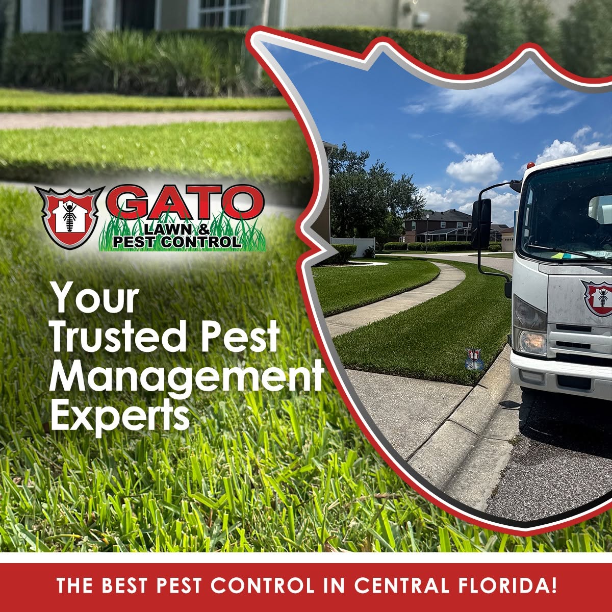 Gato Lawn & Pest Control